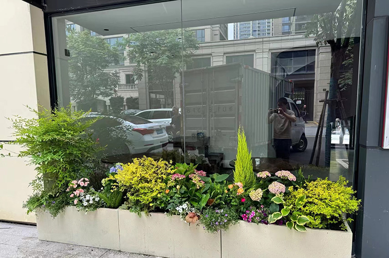花鏡植物設(shè)計(jì)與施工