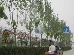 園藝養(yǎng)護(hù)