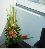 茶幾用花