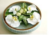 茶幾用花