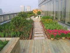 屋頂花園