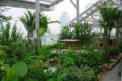 屋頂花園